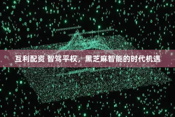 互利配资 智驾平权，黑芝麻智能的时代机遇