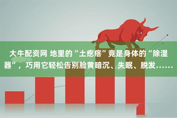 大牛配资网 地里的“土疙瘩”竟是身体的“除湿器”，巧用它轻松告别脸黄暗沉、失眠、脱发……