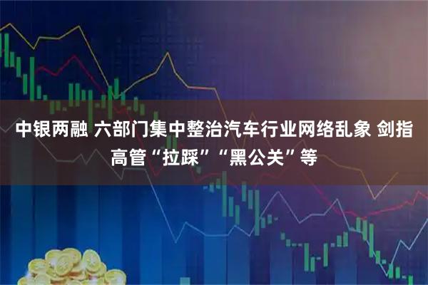 中银两融 六部门集中整治汽车行业网络乱象 剑指高管“拉踩”“黑公关”等