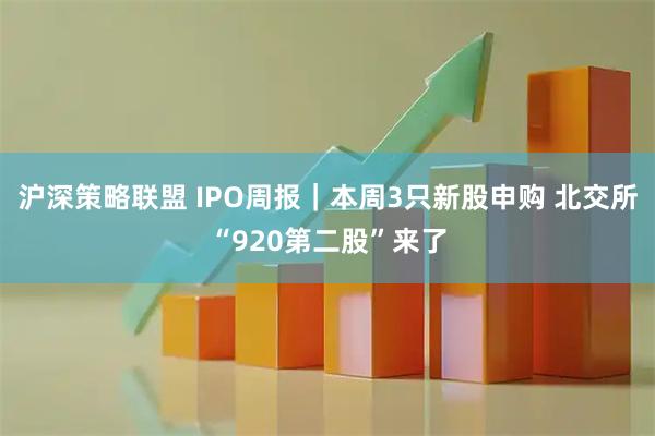 沪深策略联盟 IPO周报｜本周3只新股申购 北交所“920第二股”来了