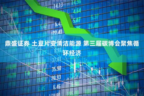 鼎盛证券 土豆片变清洁能源 第三届碳博会聚焦循环经济