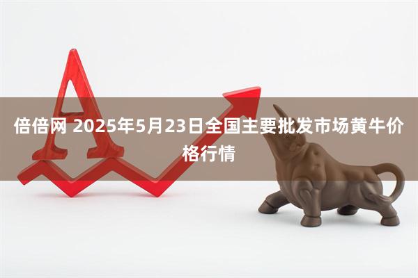 倍倍网 2025年5月23日全国主要批发市场黄牛价格行情