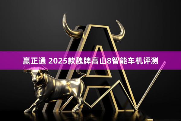 赢正通 2025款魏牌高山8智能车机评测